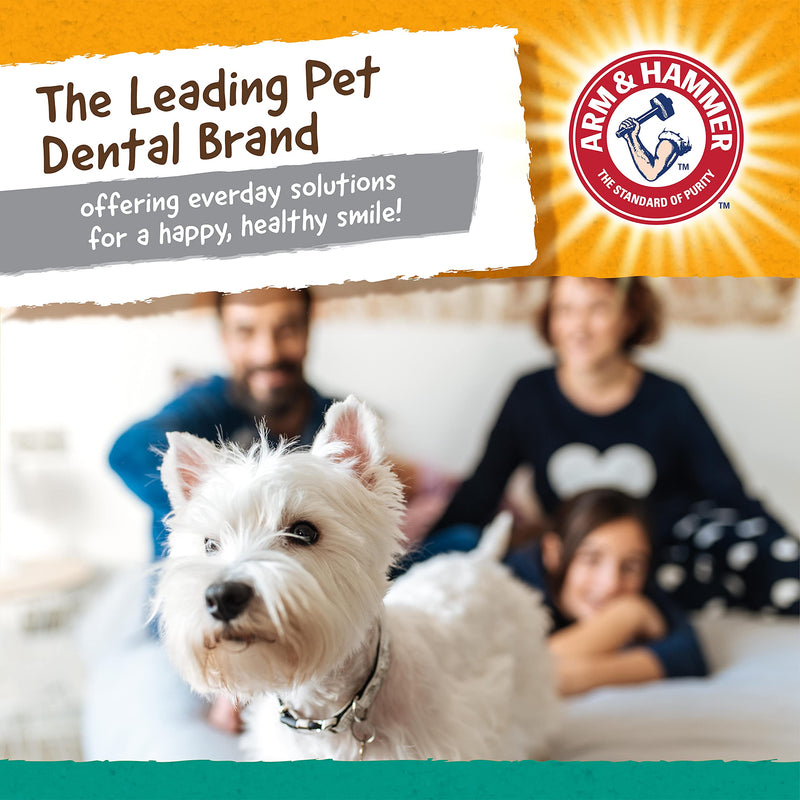 Arm & Hammer for Pets Ora-Play Dental Chew Toy for Dogs - Best Dog Chew Toy for Aggressive Chewers - Reduces Plaque & Tartar Buildup - Dog Chew Toys from, Dog Toys for Dog Teeth T-Bone - BeesActive Australia