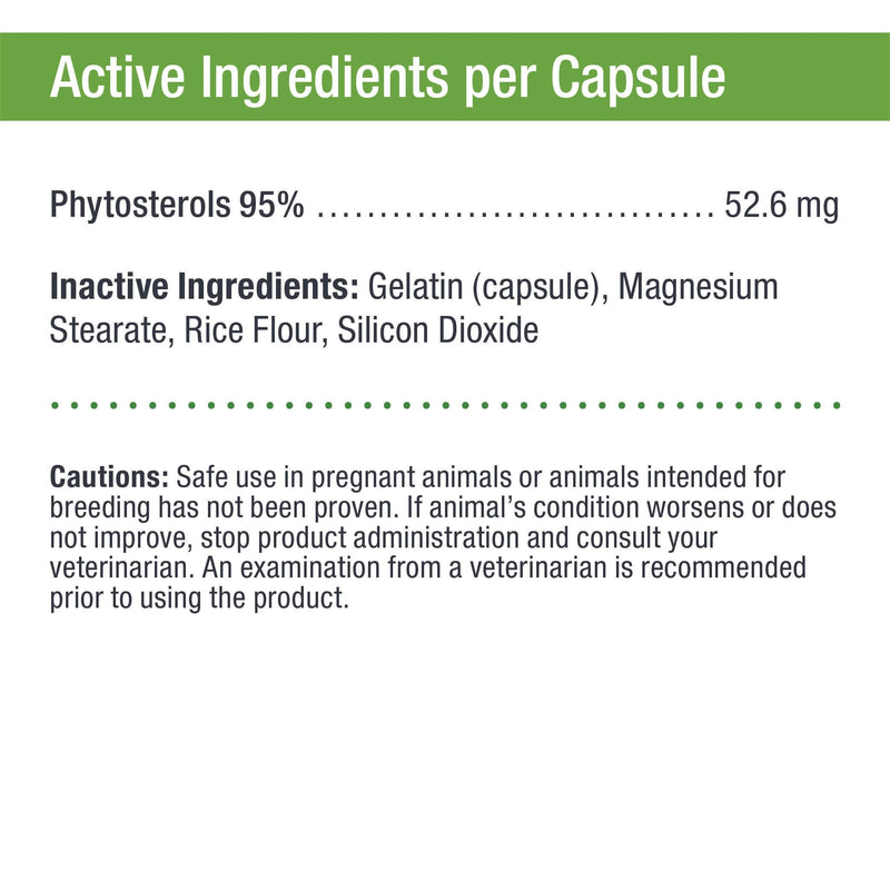 Only Natural Pet Immune Balance for Immune Support - Holistic Vitamin Dietary Supplement Formula for Dogs or Cats - Made in The USA Powder Filled Capsules 90 Capsules - BeesActive Australia
