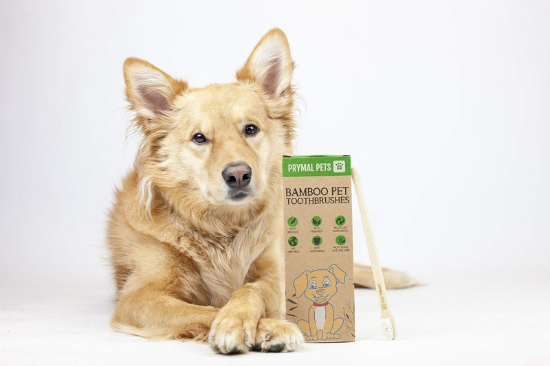 Prymal Pets Dog Toothbrush - 4-Pack Bamboo Toothbrush for Dogs + Cats - Soft Bristles - Gentle Pet Toothbrush for Easy Dog Teeth Brushing Dental Care 4 Count (Pack of 1) - BeesActive Australia