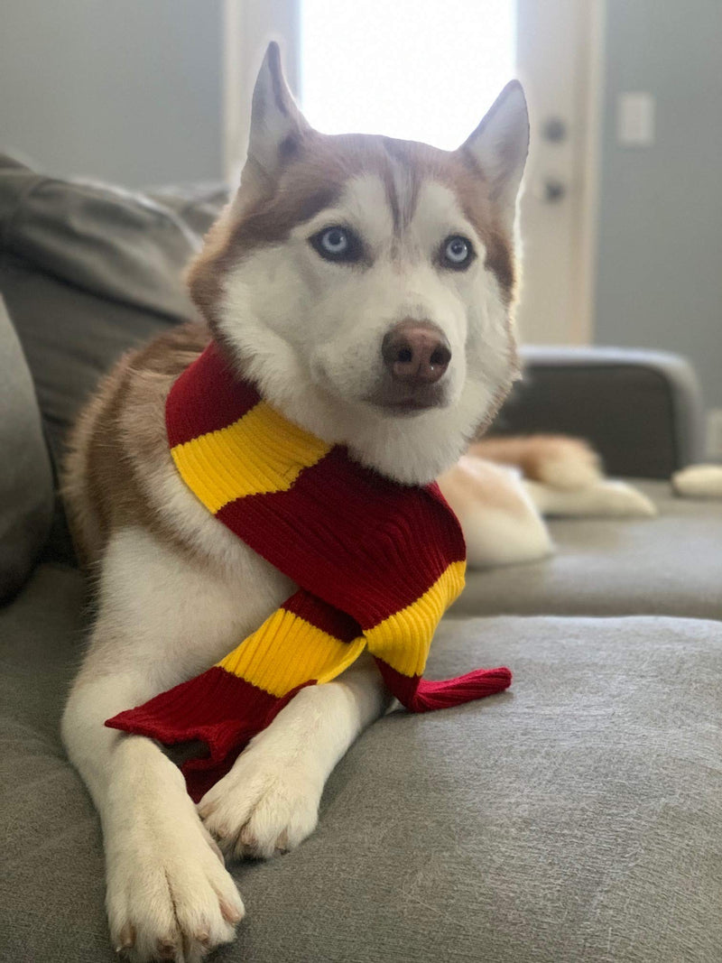 ComfyCamper Red and Yellow Striped Scarf for Dog Costumes, Clothes for Dogs Pets and Cats Large - BeesActive Australia