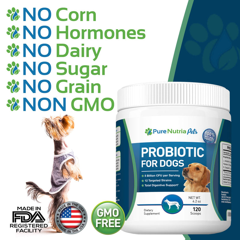 PureNutria Dog Probiotics Dog Supplements - for Dog Diarrhea, Upset Stomachs, Yeast, Gas , Dog Allergy and Dog Immune System Support - Made in USA - 12 Targeted Strains 5 Billion CFU - 120 Scoops - BeesActive Australia
