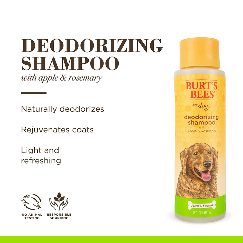 Burt's Bees for Dogs Deodorizing Dog Shampoo and Dog Deodorizing Spray, Apple & Rosemary Dog Shampoo, Natural Dog Shampoo, Puppy Shampoo, Dog Bathing Supplies, Dog Wash, Pet Shampoo 16 oz - 1 Pack - BeesActive Australia