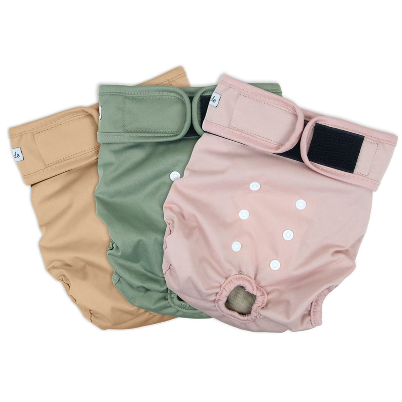 Grecle Washable Female Dog Diapers - Premium Reusable Diapers for Doggie in Heat - Highly Absorbent Dog Diapers Female for Pet Incontinence with Adjustable Snaps Medium (12”-15“Waist） Morandi - BeesActive Australia