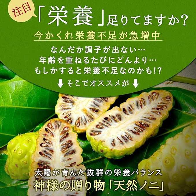 DMJ Egao Seikatsu Noni Concentrated Soft 62 Tablets 31 Days Made in Japan Noni Supplement Concentrated Type - BeesActive Australia