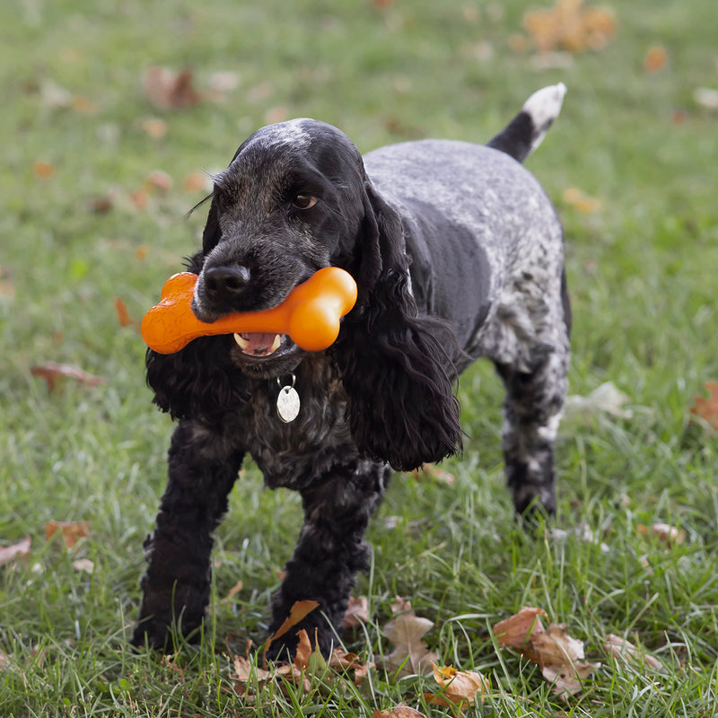 Chew King Bacon Flavor Rubber Bone - BeesActive Australia