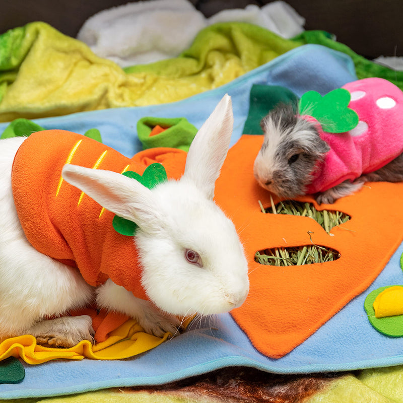 IPRAVOCI Guinea Pig Clothes - Plaid Cute Fleece Warm Pet Outfits for Rabbit Bunny Ferrets Chinchillas Kitten Chihuahua, etc. Small Animals - Bow Tie Christmas Holiday Daily Wear Cozy Vest Pet Costume XX-Small pink and orange - BeesActive Australia
