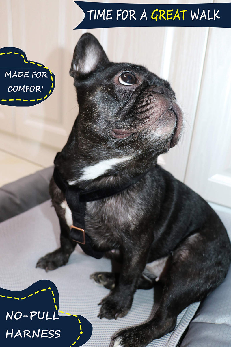 ARING PET Dog Halter Harness, Velvet Dog Harness, No Pull Dog Halter Harness, Adjustable Heavy Duty Dog Harness for Small Medium Large Dogs Medium (Pack of 1) Black - BeesActive Australia