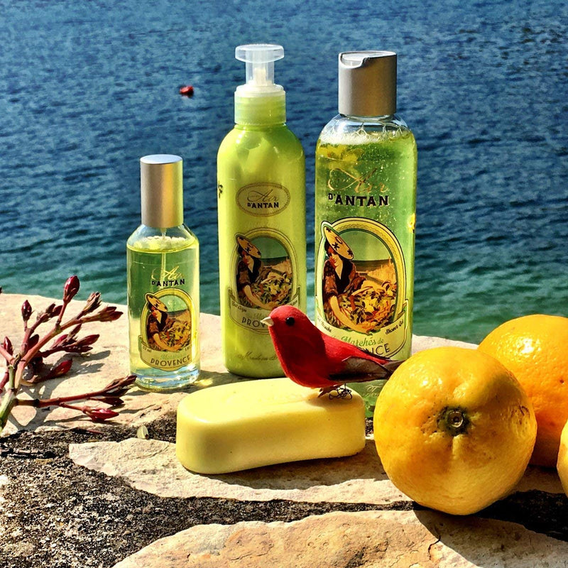 Premium PROVENCE French Vintage Body Lotion with Shea Butter and Argan Oil – Organic Verbena, Bergamot, Lemon. Un Air d'Antan Exclusive Perfume – Moisturizing, Paraben-Free Formula – 6.8oz. - BeesActive Australia