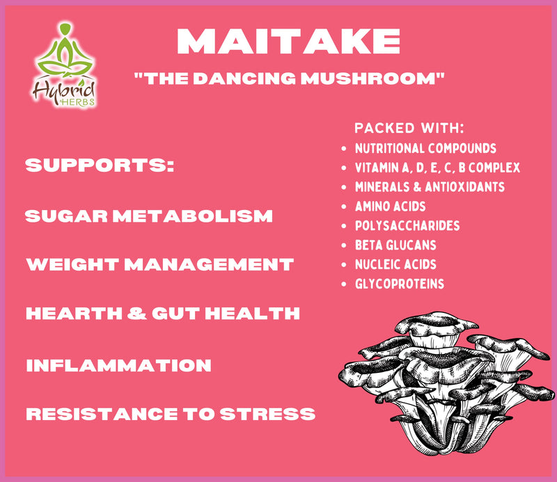 HYBRID HERBS - Organic MAITAKE Mushroom | 10:1 Concentrated Extract Powder | GRIFOLA FRONDOSA | Blood Sugar, Weight, Heart & Immune Support | Rich in Beta Glucans, Polysaccharides | 56 Servings (56g) - BeesActive Australia