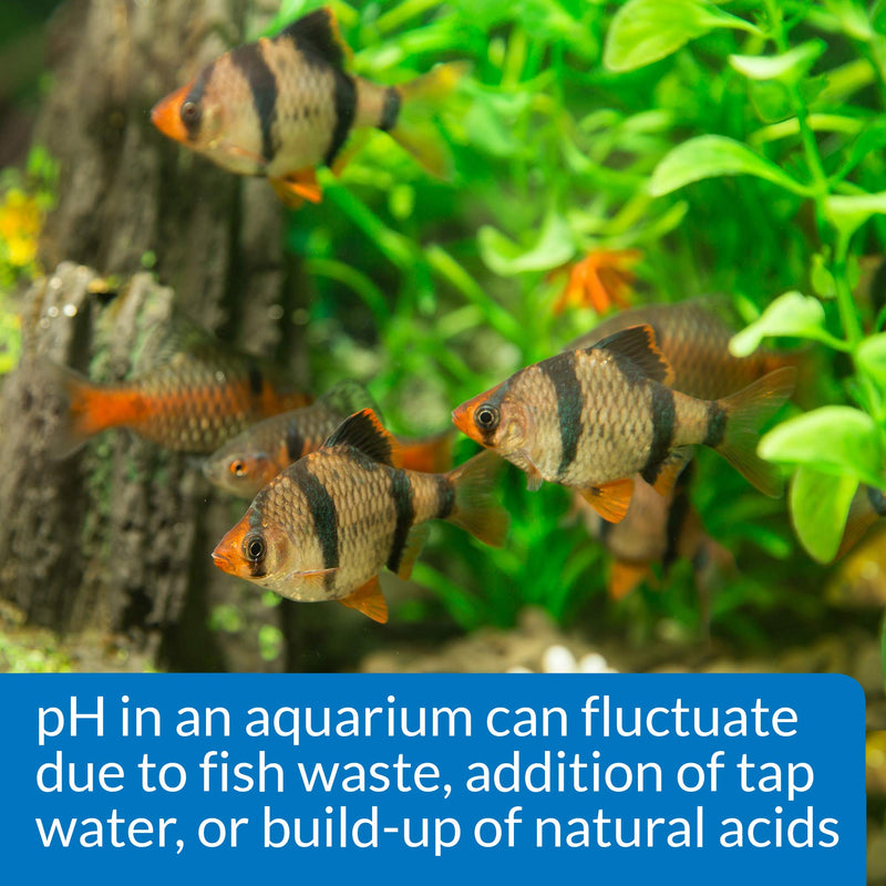 API pH TEST & ADJUSTER KIT 250-Test Freshwater Aquarium Water pH Test and Adjuster Kit (29A) - BeesActive Australia