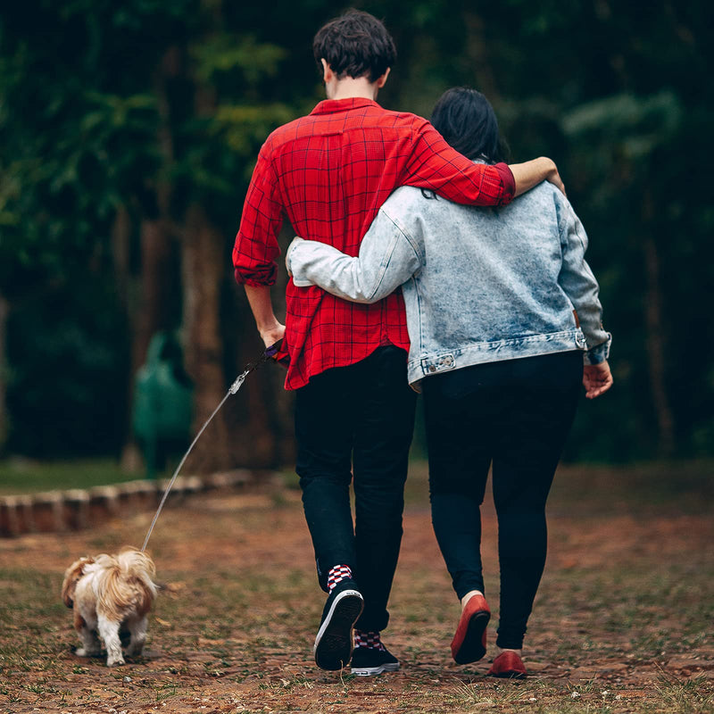 voopet Chew-Proof Dog Leash Extension Works with Any Leash & Collar & Harness - Super Strong and Durable Non-Tangle Connect Leash (Multiple leashes are Used for Multiple Dogs) For one dog Silver - BeesActive Australia