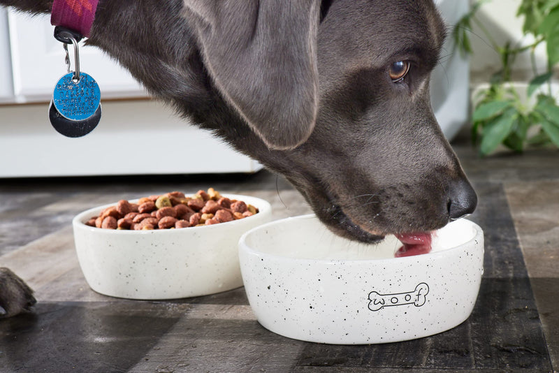 Pearhead Pet Feeding Accessories, Dog and Cat Food and Water Bowl, Dog Treat Jar, Holiday Pet Home Décor, Pet Feeding Mat, Pet Owner Accessories Woof Pet Bowl Dish - BeesActive Australia