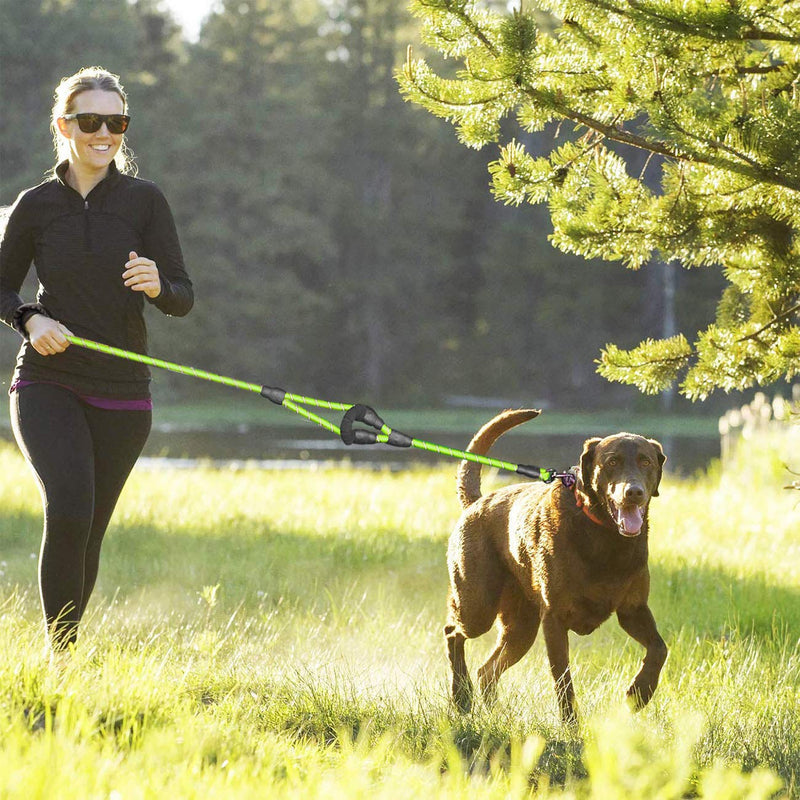 JSXD Dog Leash,5FT Heavy Duty Double Handle Dog Leash with Comfortable Padded and Reflective,Rope Dog Leashes for Small,Medium,Large Dogs Rope-Green - BeesActive Australia