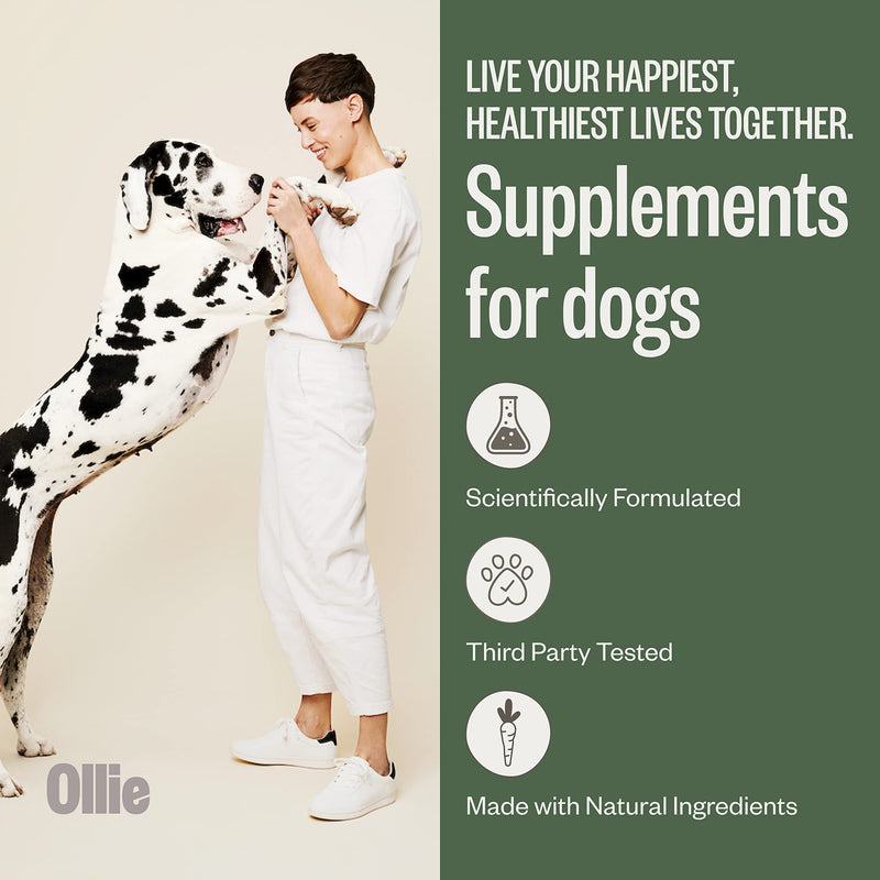 Ollie Dog Supplements Probiotic - BeesActive Australia