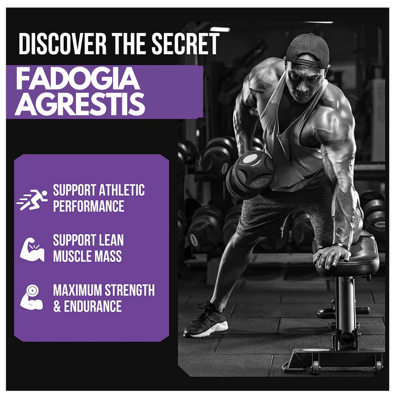 Fadogia Agrestis 2000mg 90 Vegan Tablets High Strength Fadogia Agrestis Extract Supplements - Athletic Performance & Muscle - Gluten Free, Non-GMO(Not Fadogia agrestis Capsule) (90 (Pack of 1) 90 (pack of 1) - BeesActive Australia
