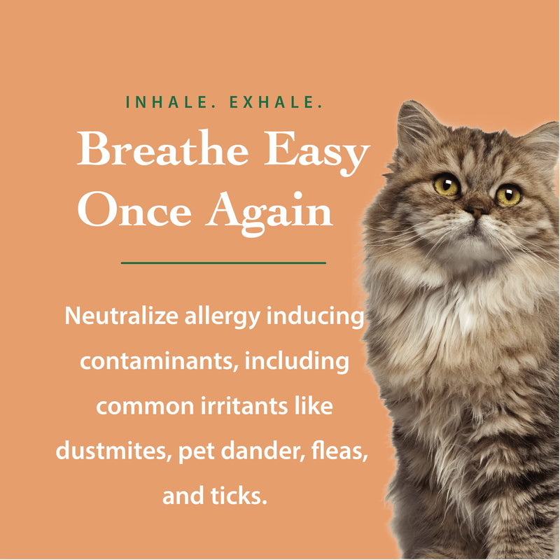 The Ecology Works Anti-Allergen Pet Shampoo 1-Pack + Mitt - BeesActive Australia