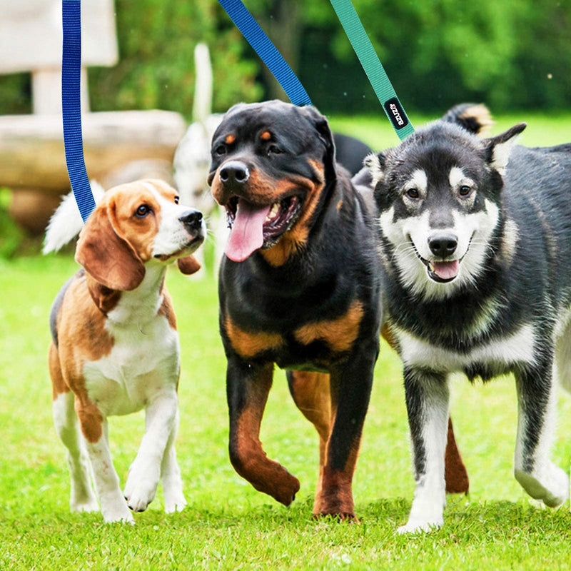 azuza 3 Pack Nylon Dog Leashes,Strong & Durable Basic Leash 4/5/6 FT with Easy to Use Collar Hook,Available in Multiple Length S: 5/8"x 6 FT (Pack of 3) 1#Blue - BeesActive Australia