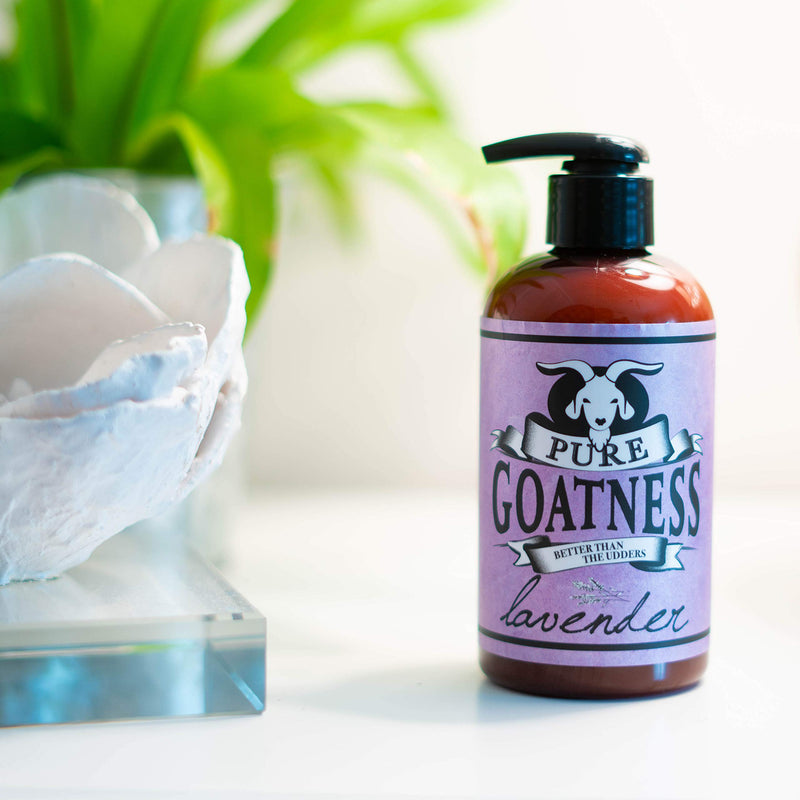 Pure Goatness Premium Goat Milk Lotion Natural Skincare Body Hand and Face rejuvenating and cleansing moisturizer (Lavender, 8 oz) Lavender 8 Fl Oz (Pack of 1) - BeesActive Australia