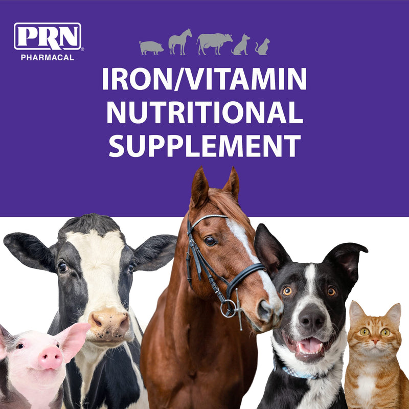 PRN Pharmacal Liqui-Tinic 4X - Iron and Vitamins Oral Nutritional Supplement for Pets- Liver-Flavored Supplement with Iron and B-Complex Vitamins to Support Wellness - 2 Fl Oz (3 Pack) - BeesActive Australia