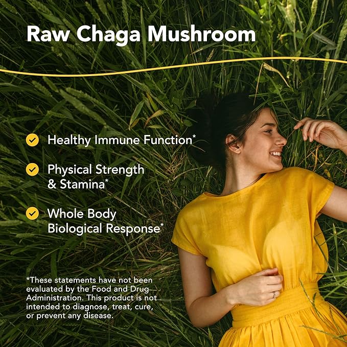 Directly shipped from overseas North American Herb & Spice Chaga Max, 90 caps - BeesActive Australia
