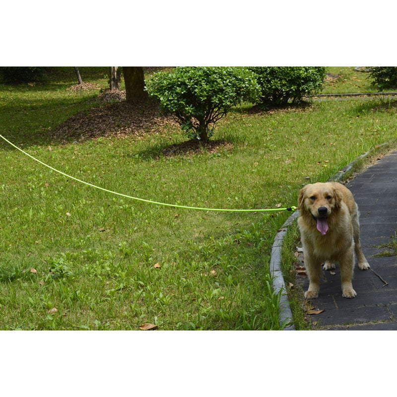 Shorven Nylon Strong Dog Rope Lead Reflective Training Dog Leash with Soft Handle 8-20 FT Long (Dia:0.5" 15FT) Green - BeesActive Australia