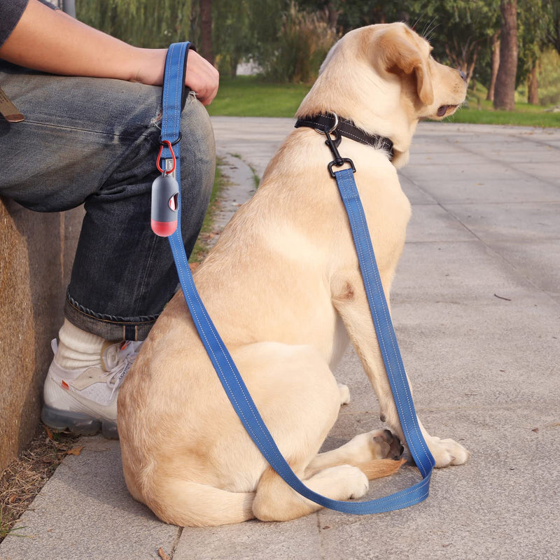 VIVAGLORY Dog Leash with Padded Handle, Heavy Duty Reflective Nylon Training Leash Walking Lead for Small to Large Dogs 6 ft. x 1 in. (25~120 lbs.) Blue - BeesActive Australia