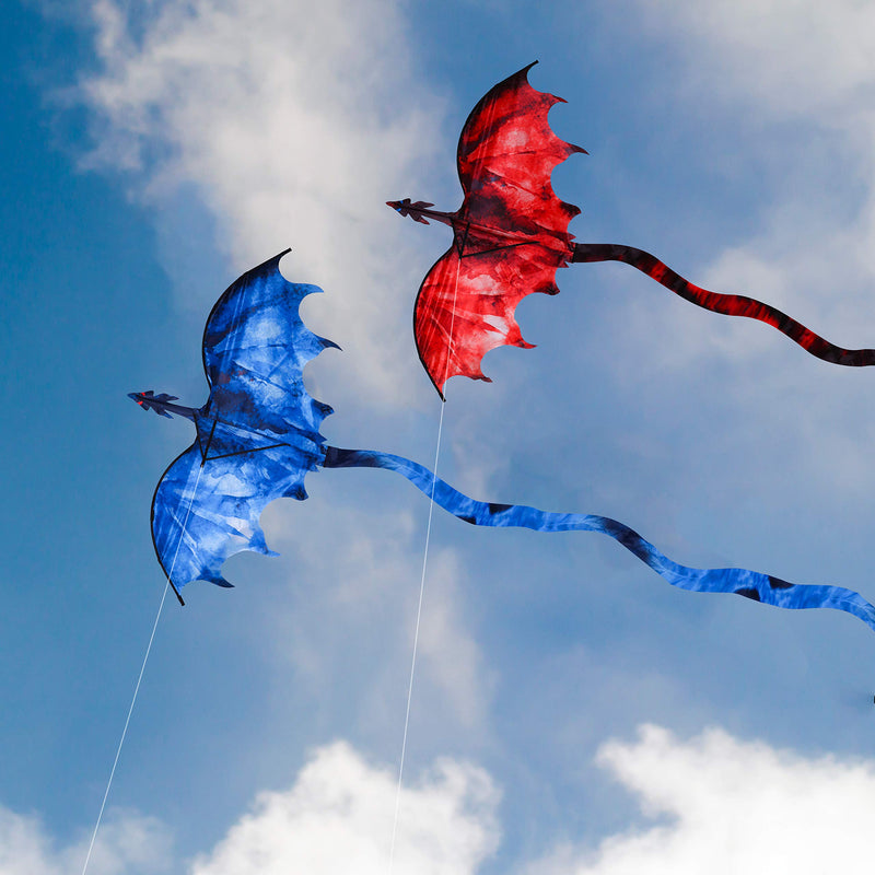 JEKOSEN Fiery Dragon 54" Huge Kite for Kids and Adults Easy to Fly Single Line String with 160" Tail for Beach Trip Park Family Outdoor Games and Activities - BeesActive Australia