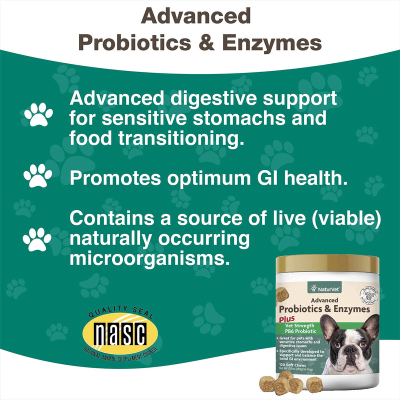 NaturVet – Advanced Probiotics & Enzymes - Plus Vet Strength PB6 Probiotic | Supports and Balances Pets with Sensitive Stomachs & Digestive Issues | for Dogs & Cats 120 Soft Chews - BeesActive Australia