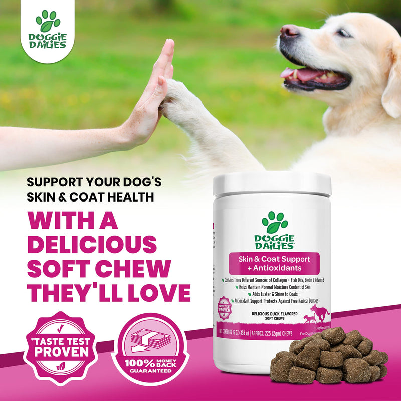 Doggie Dailies Skin & Coat Supplement + Antioxidant Support, 225 Soft Chews, Salmon Oil for Dogs Skin and Coat with Collagen, Omega 3, Krill Oil, Biotin, & Coconut Oil for Dogs - BeesActive Australia