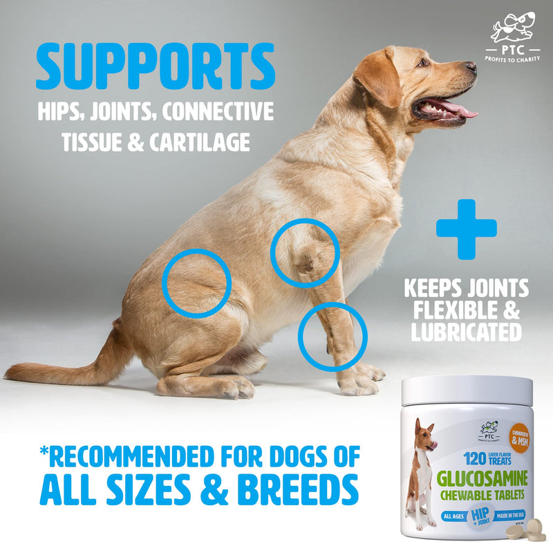 Glucosamine for Dogs with Chondroitin and MSM - Hip and Joint Supplement for Dog Mobility Support and Arthritis Pain Relief by PTC - Profits to Charity 120 Count (Pack of 1) - BeesActive Australia
