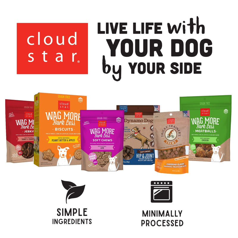 Cloud Star Dynamo Dog Skin & Coat, Functional Soft Chews, Salmon with Omega 3, Vitamin E, Grain Free 14 Ounce (Pack of 1) - BeesActive Australia