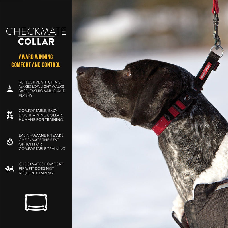 EzyDog Checkmate Martingale-Style Training and Correction Dog Collar Large Blue - BeesActive Australia