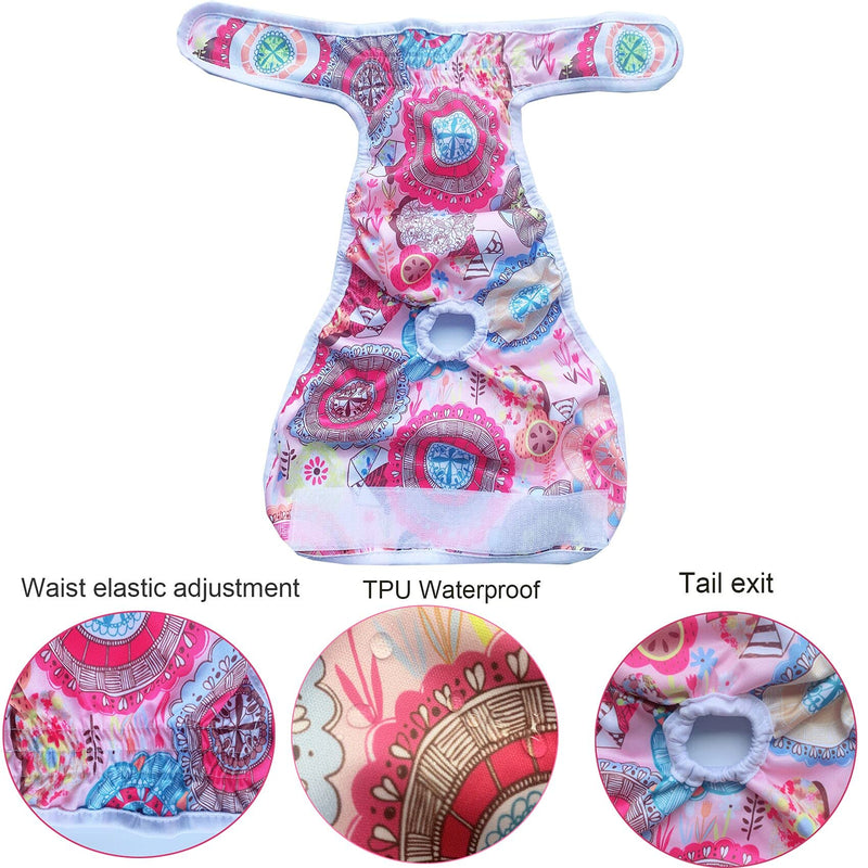 Cilkus Washable Dog Diapers Female for Small Dogs(3 Pack) of Durable Doggie Diapers, Premium Female Dog Diapers L (19"-27")Waist - BeesActive Australia