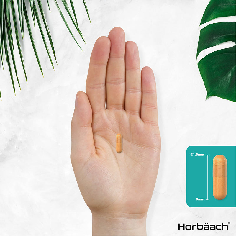 Lutein Supplement | 40mg Eye Complex | 120 Vegan Capsules | Wheat Free, Vegan, and Vegetarian | by Horbaach - BeesActive Australia