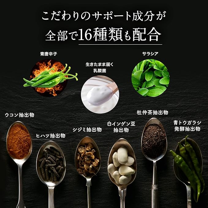 Terminaria First (Gourmet Supplement) 120 tablets/1 bag [Terminaria Beririca Carbohydrate Control Tablet Type Recommended by Registered Dietitian] Vitabrid Japan - BeesActive Australia