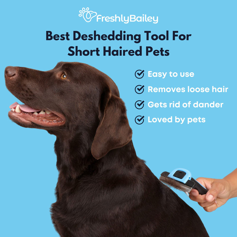 Freshly Bailey Deshedding Brush for Short Haired Dogs & Cats - Cat and Dog Brush for Shedding Short Hair - Highly Effective Deshedder Grooming Comb - BeesActive Australia