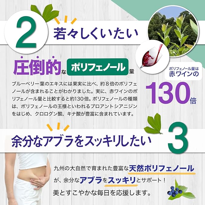 Blueberry Polyphenol Lutein Supplement (Collaborative Research with Universities and Prefectures), Made in Kyushu, Zeaxanthine Proanthyanidin, Chlorogenic Acid, Pesticide Free, 30 Day Supply - BeesActive Australia