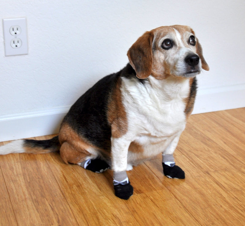 Posch Anti-Slip Knit Socks for pets with Traction Soles for Indoor Wear, Slip On Paw Protectors Medium Black - BeesActive Australia