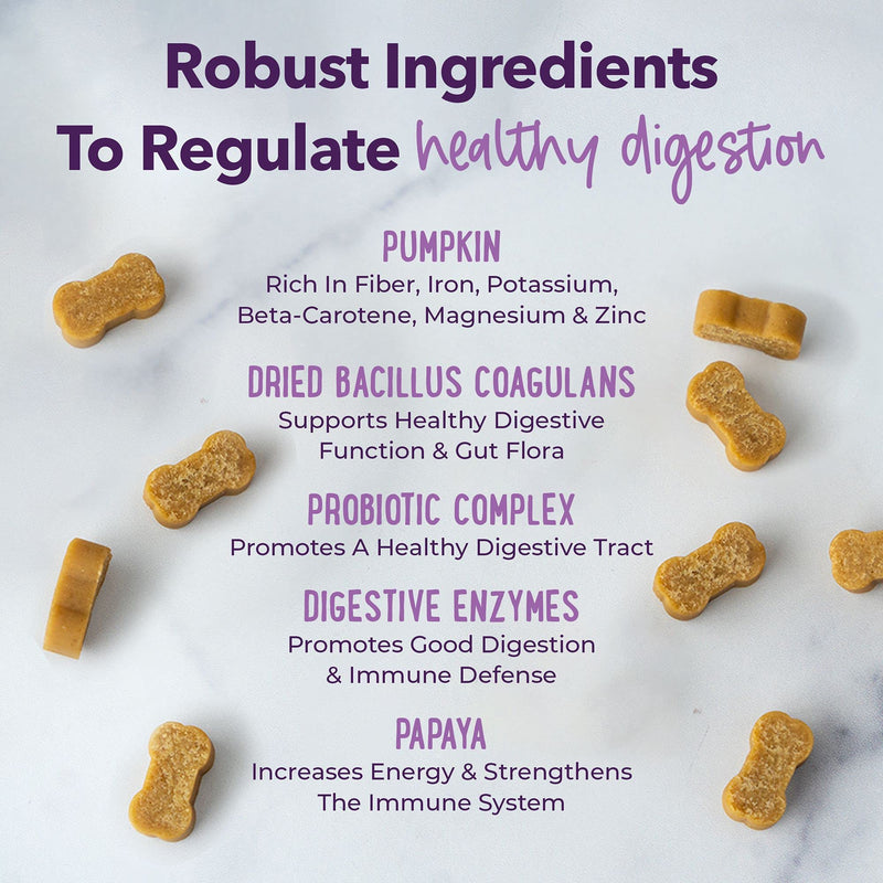 iHeartDogs 3-in-1 Probiotic for Dogs with Pumpkin for Improved Digestion & Gut Health - Dog Probiotics and Digestive Enzymes, 90 Count - BeesActive Australia