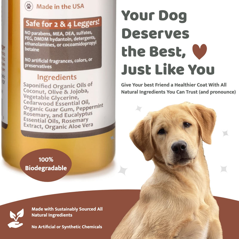 4Legger Organic Dog Shampoo and Conditioner USDA Certified - All Natural Concentrated Cedar Dog Shampoo with Peppermint, and Eucalyptus - Dog Shampoo for Itchy Skin - Dog Shampoo for Smelly Dogs 16 oz - BeesActive Australia