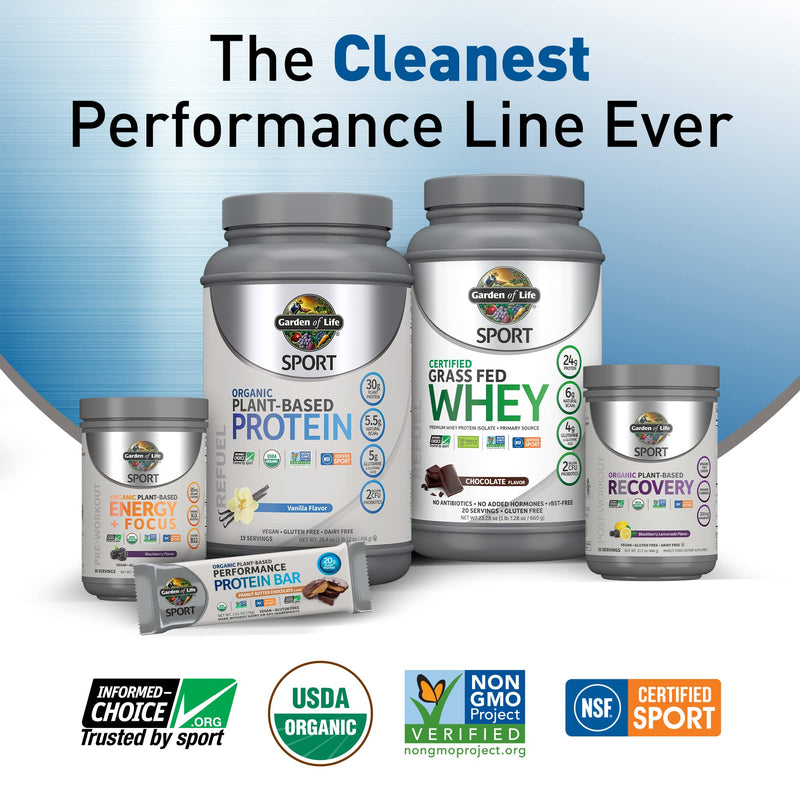 Garden of Life Sport Organic Plant-Based Energy + Focus Vegan Clean Pre Workout Powder, Sugar & Gluten Free BlackBerry Cherry with 85mg Caffeine, Natural NO Booster, B12, 40 Servings, 8.14 Oz Blackberry Cherry (Sugar-Free) 40 Servings (Pack of 1) - BeesActive Australia