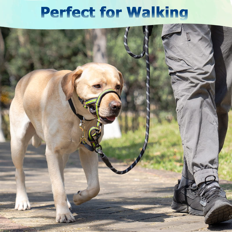Dog Head Collar, No Pull Stylish Head Halter for Heavy Pullers, Gentle Dog Face Harness Stops Pet Pulling and Choking on Walks for Medium Large Aggressive Dogs L Fuorescent Green - BeesActive Australia