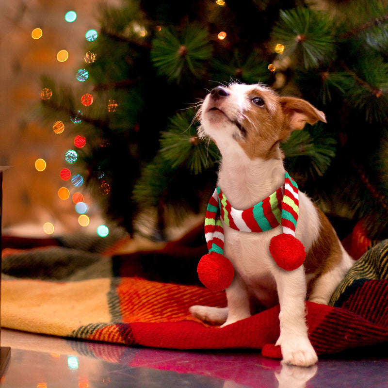 4 Pieces Christmas Dog Scarf with Santa Hat 2 Adjustable Christmas Pet Hat and 2 Pet Knit Red Scarf with White Pompom Ball Striped Scarf Winter Pet Accessory for Small Medium Large Dog - BeesActive Australia