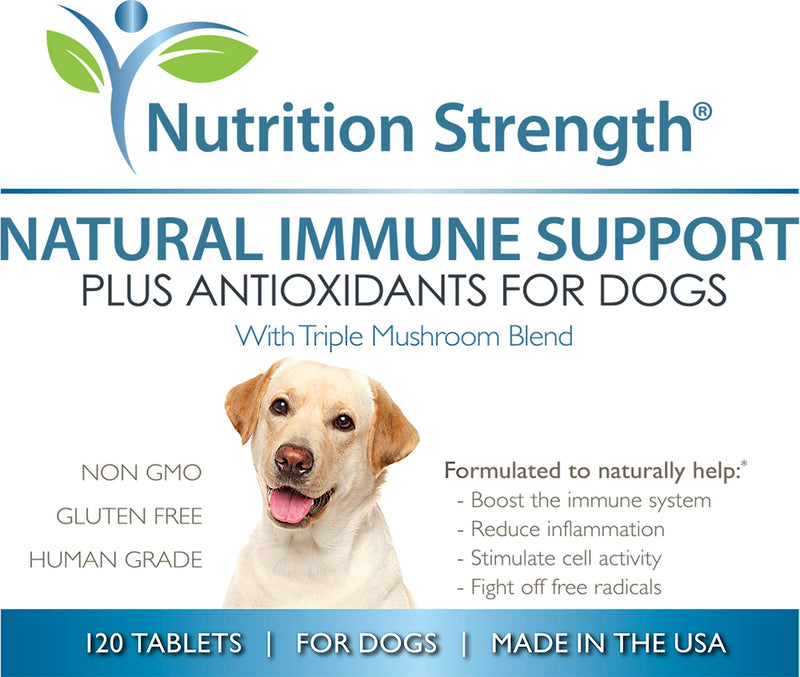 Nutrition Strength Immune Support for Dogs Plus Antioxidant, Reishi, Shiitake, Maitake, Turkey Tail Mushrooms for Dogs, with Coenzyme Q10, Nutritional Support for Dogs, 120 Chewable Tablets - BeesActive Australia