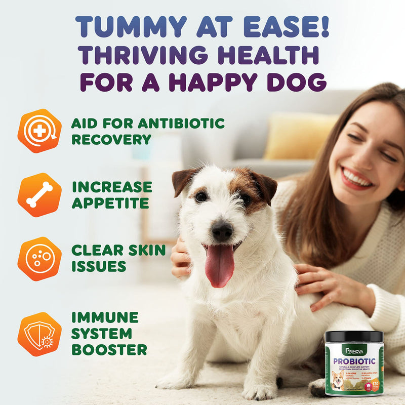 Primova Pet Products - Probiotic Dog Chews for Dog Digestive Enzymes - Dog Diarrhea & Natural Allergy Relief - Puppy Probiotic Chews - Dog Allergy Chews - Pack of 120 Chews - BeesActive Australia