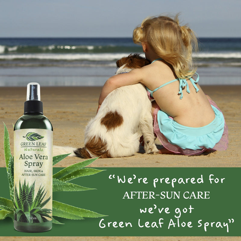 Green Leaf Naturals Cold Pressed Aloe Vera Spray for Skin, Hair, Face, After Sun Care and Sunburn Relief - Contains 99.8% Aloe Vera - 100% Pure and Natural Skin Care Moisturizer - Unscented, 8 ounces 8 Ounce (Pack of 1) - BeesActive Australia