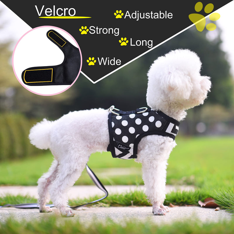 Teacup Dog Harness and Leash Set Small Pet Vest Harness, Adjustable Soft Padded Dog Vest for Teacup Chihuahua, Poodle, Yorike, Maltese Polka Dots Black X-Small (under 3lbs) - BeesActive Australia