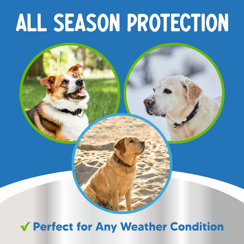 Lick Safe Dog Paw Balm - Dog Paw Protector - Paw Soother for Dogs - Provides Dog Paw Protection from Heat, Hot Pavement, Snow - Paw Wax for Dogs - Fix Dry Cracked Dog Paws - Natural Paw Balm for Dogs - BeesActive Australia