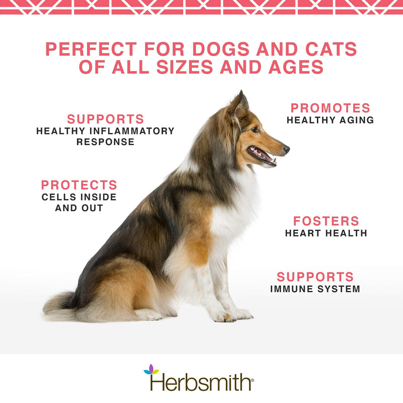 Herbsmith Pure Krill - Wild-Caught Antarctic Krill - Just 1 Ingredient - Astaxanthin for Dogs - Ready-to-Use Omega 3s 150g - BeesActive Australia