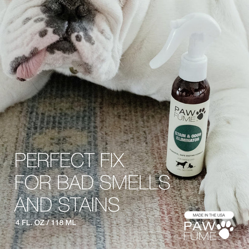 PAWFUME Stain & Odor Eliminator Pet Urine Enzyme Cleaner - Enzymatic Cleaner for Dog Urine Enzyme Cleaner - Cat Pee Enzyme Cleaner & Pet Stain and Odor Remover - Enzyme Cleaner for Cat Urine (4oz) Pack of 1 - BeesActive Australia